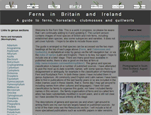 Tablet Screenshot of ferns.rogergolding.co.uk
